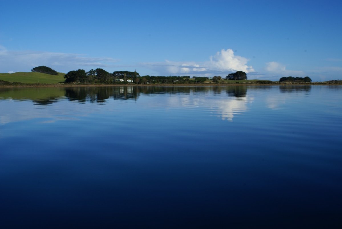 No pets allowed at Kai Iwi Lakes/Taharoa Domain